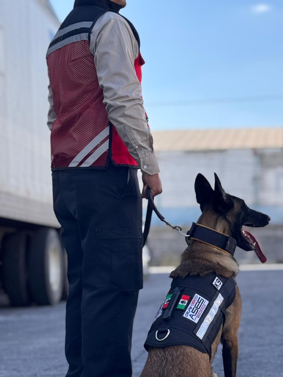 Binomio K9 Grupo ASES